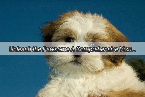 Unleash the Pawsome A Comprehensive Visual Guide to Dog Breeds